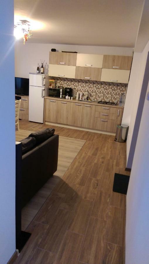 Aterman Apartment'S Sinca Veche Zewnętrze zdjęcie